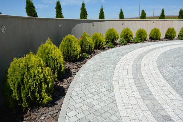 Best Driveway Repair Near Me  in Frankford, DE